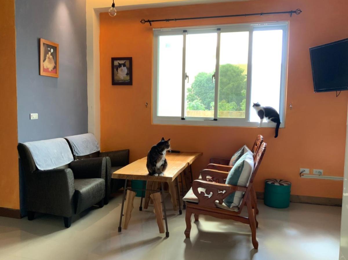Sevilla Hostel Taitung Экстерьер фото